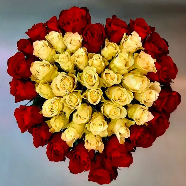 Rozes sirds